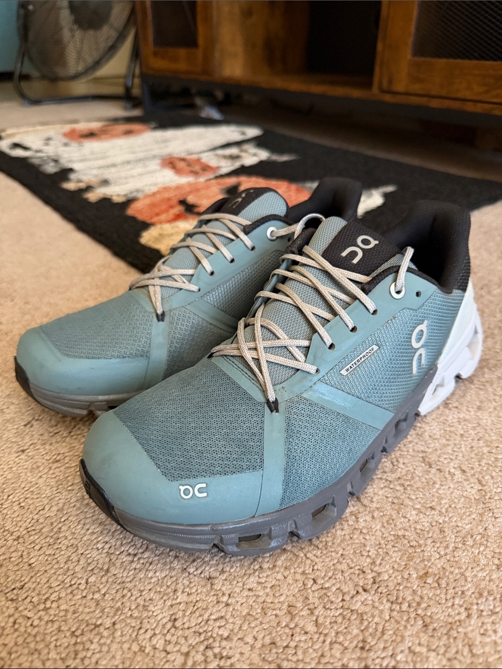 Excellent used condition- Womens 9.5 On cloud Cloudflyer Shoes- Waterproof